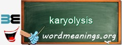 WordMeaning blackboard for karyolysis